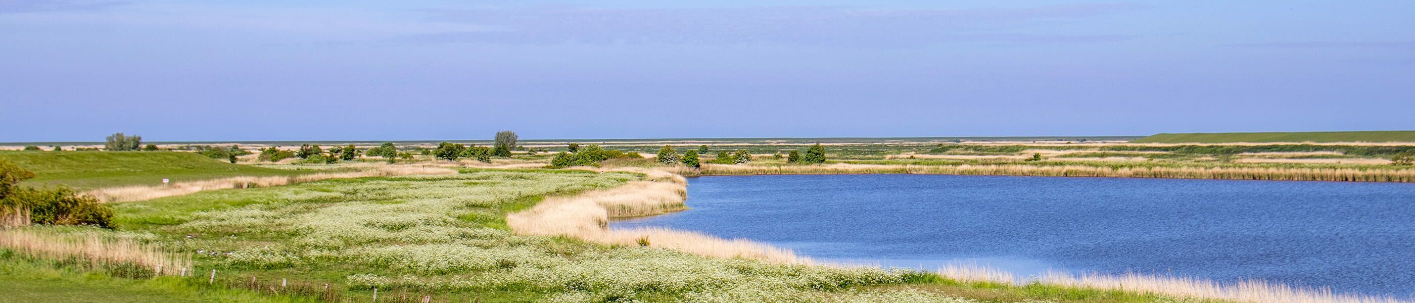 Naturgebiet in Krummhörn mit See und grüner Umgebung