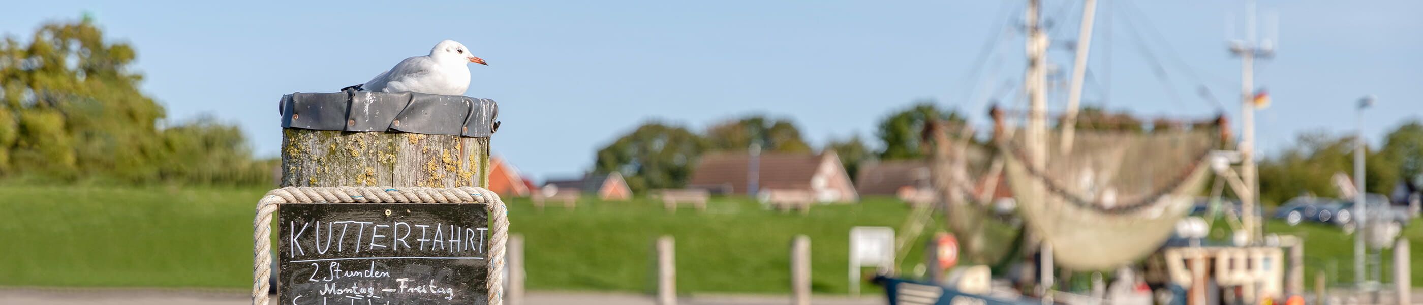 Möwe auf einem Holzpfosten am Hafen mit Boot im Hintergrund