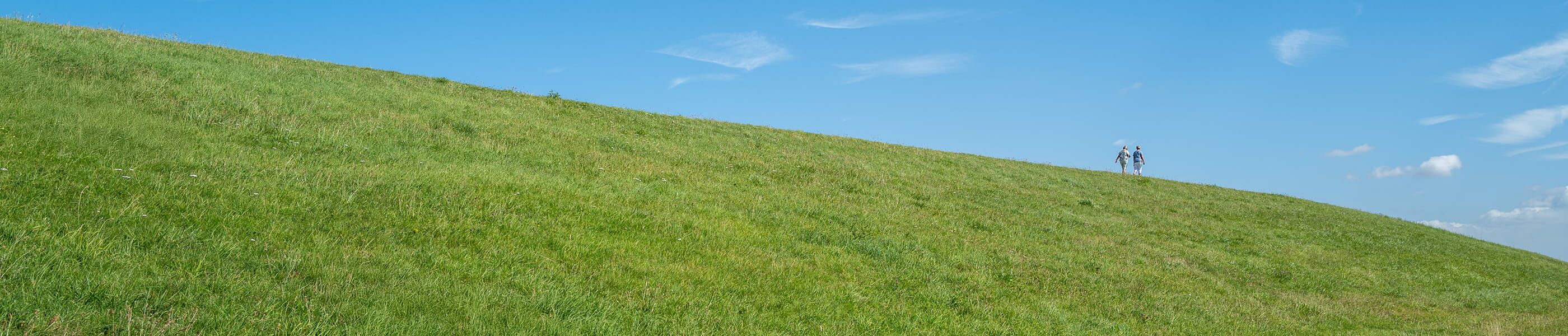 Grüner Deich mit Menschen in der Ferne