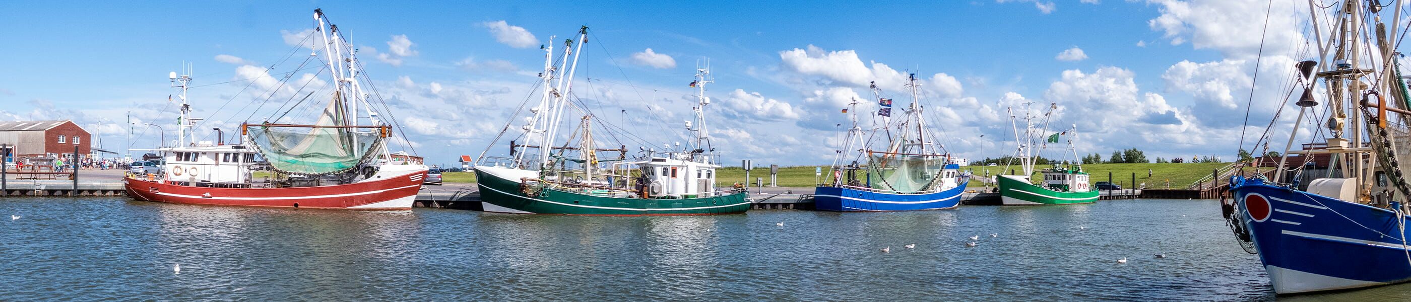 Krabbenkutter im Hafen von Dornum mit Netzen und Booten
